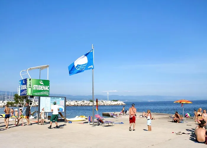 And With Parking Space Icici, Opatija - 7881