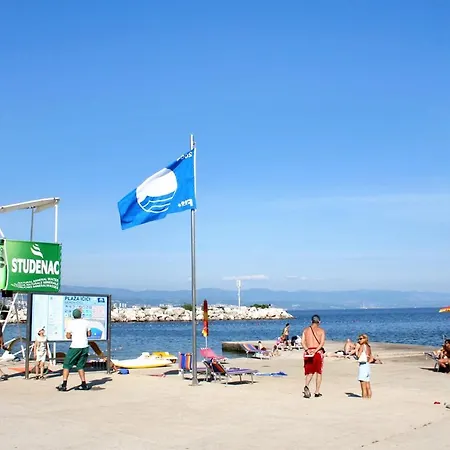 And With Parking Space Icici, Opatija - 7881